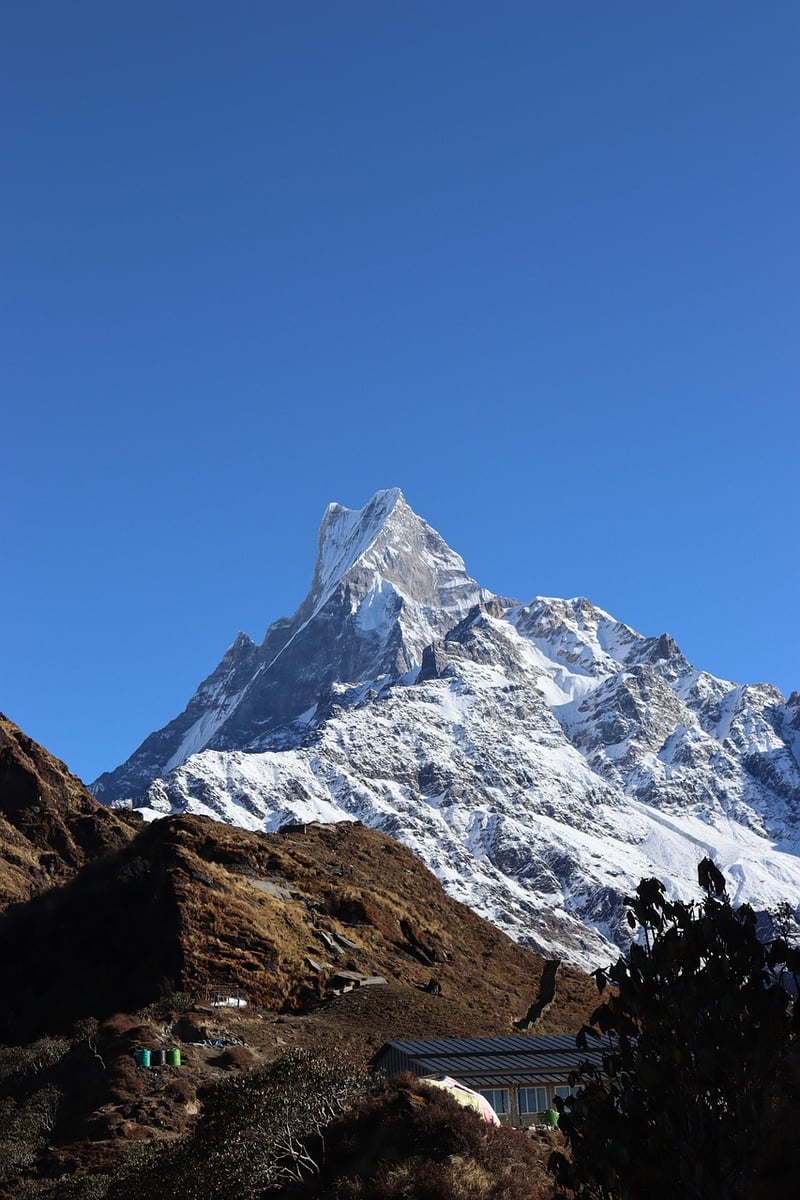 Himalayan Wellness Retreat